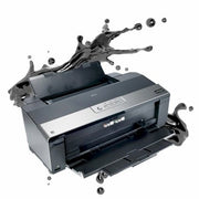 All Black Ink Set For Epson 1900 - McLogan Supply