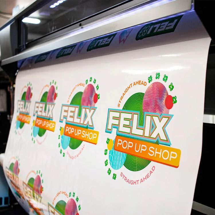 Roland Eco Solvent Printer