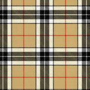 Thermoflex Fashion Patterns 12" Plaid - McLogan Supply